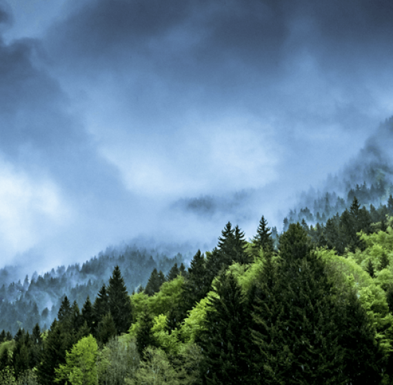 climate-action-banner